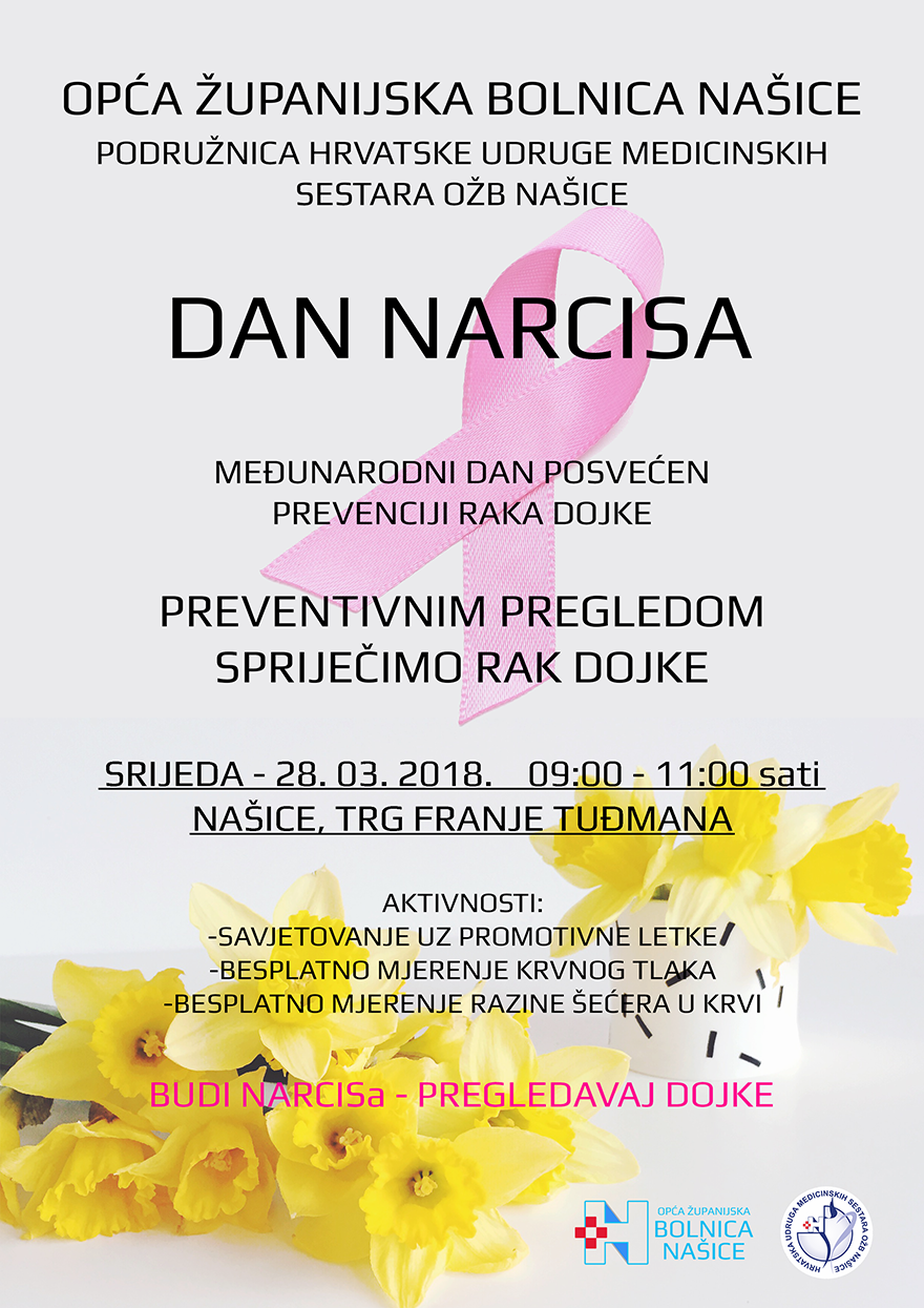 Plakat A4 880